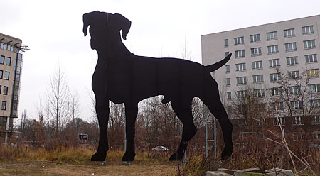 bigdog.jpg