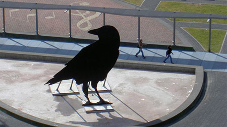 crow.jpg