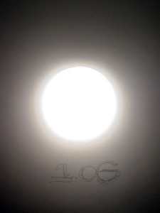 IMG_3602_lores