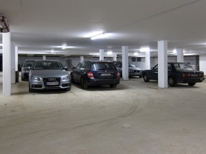 IMG_3613_lores