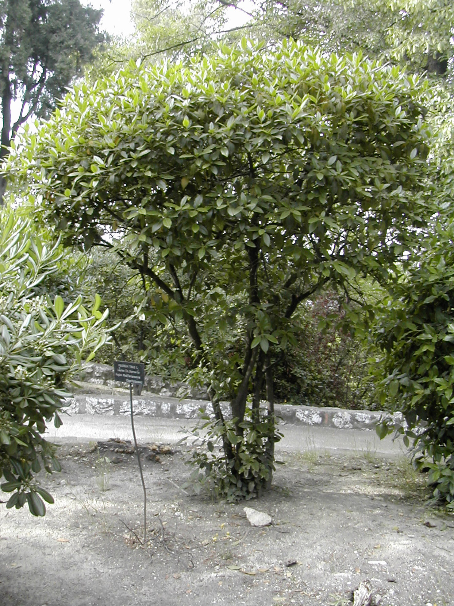 CD-DSCN1448