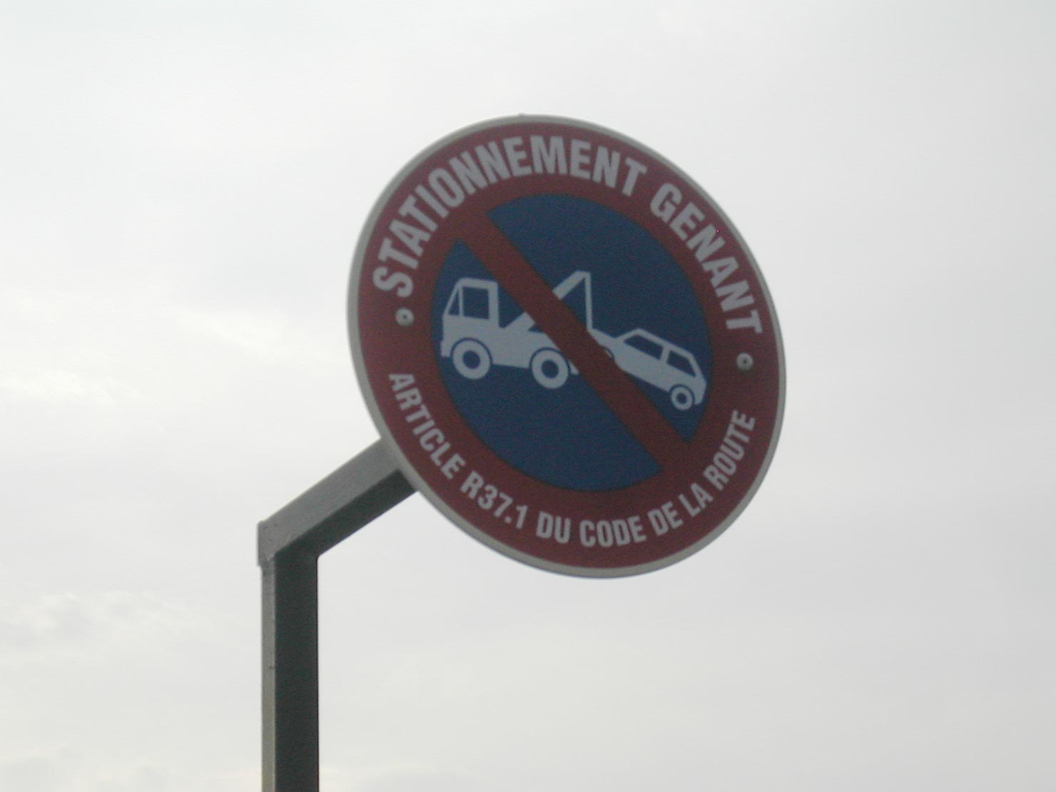 CD-DSCN1503