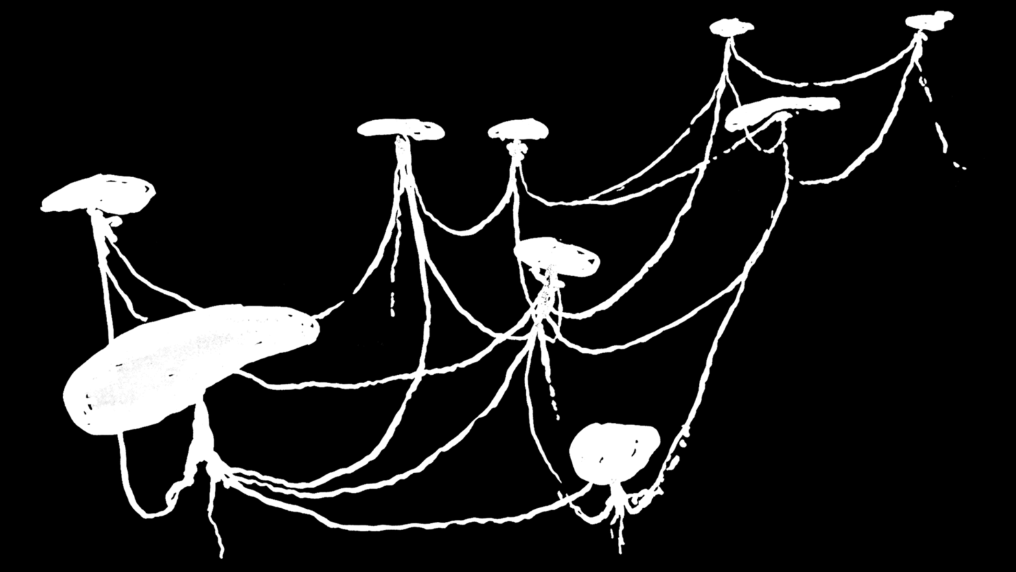 A crude hand drawing of nine ponds connected by subterranean tendrils.